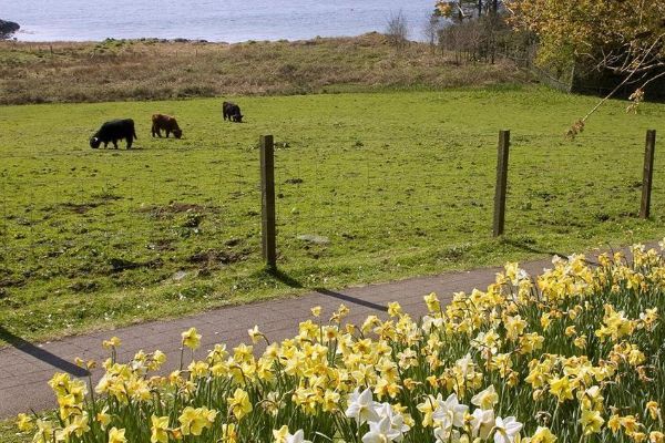 Loch Melfort Hotel (Argyll and Bute)